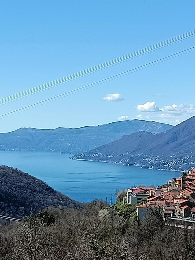 Ferienwohnung Ca' Di Aroha Musignano  Exterior foto